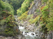 yosshy̓񌩒݋̓eʐ^2