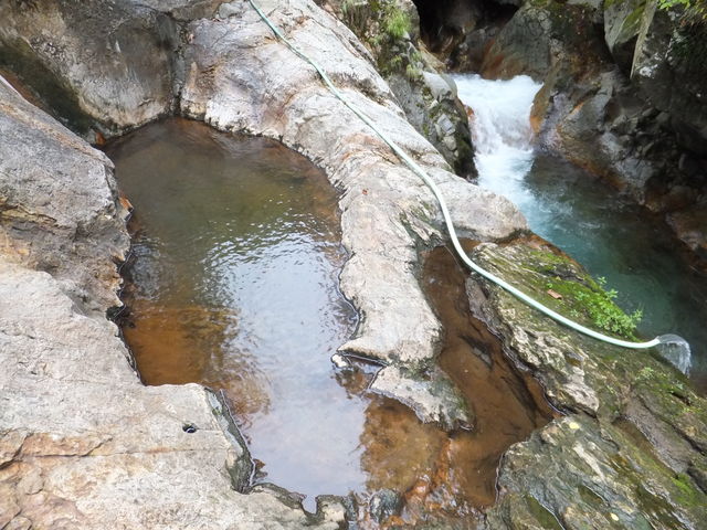 �V�R�I�V���C_�F�̓�