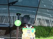 sakky̓̉w  䂤Xe[V̓eʐ^1