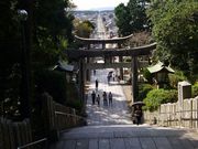 ؂񂳂̋{nԐ_Ђ̓eʐ^1