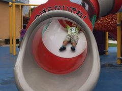 ݂􂳂̐EW ANAggӂւ̓eʐ^1