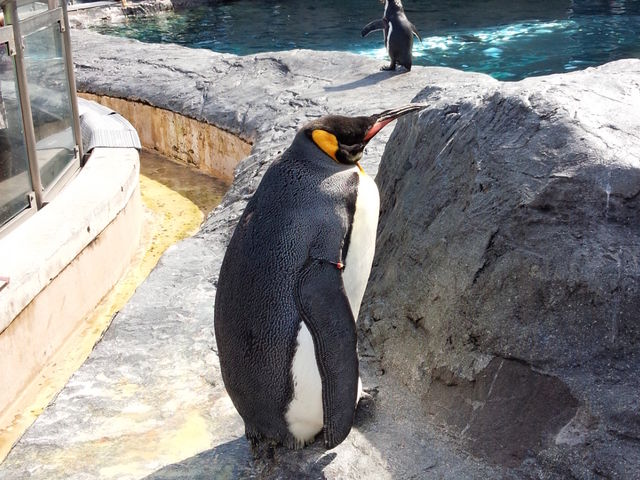 �y���M����_���R������