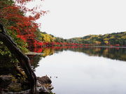 masaoB̔̒rij̓eʐ^2