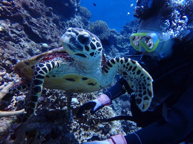 2�C�ڂ̃E�~�K������_�A���t�@�_�C�u�ǒJ�X