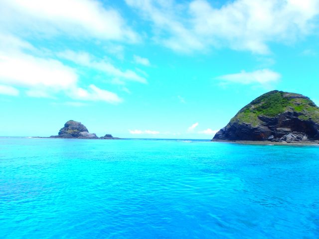 ���c�Ǌԃu���[�̊C��_�A���t�@�_�C�u�ǒJ�X