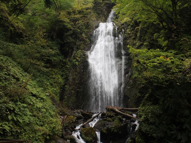 ��ڂ̑�_���Ԃ�k�J