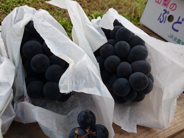 ���� �s�I�[�l_�Ԃǂ����