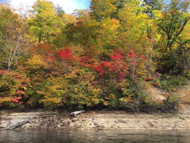 ���܂ő����i�ނƍg�t�������ł����B_�������΁i��ؑ�_���j