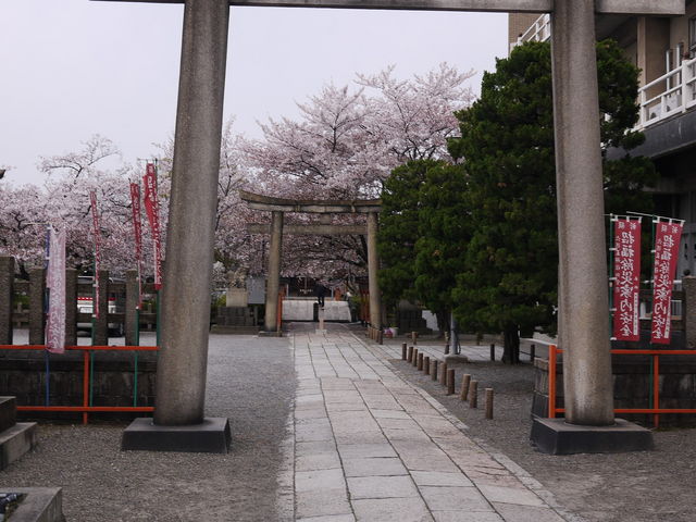 �Z�����_��_�Z�����_��