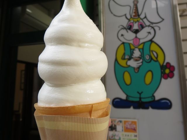 킩΂̃\tgN[_XEB[gnEX 킩