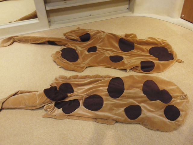 lemon����̐���n���U�P���R�ق̓��e�ʐ^1