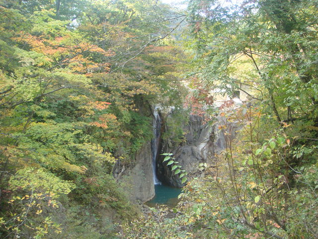 򂨏肳񂳂̍sґ̓eʐ^1