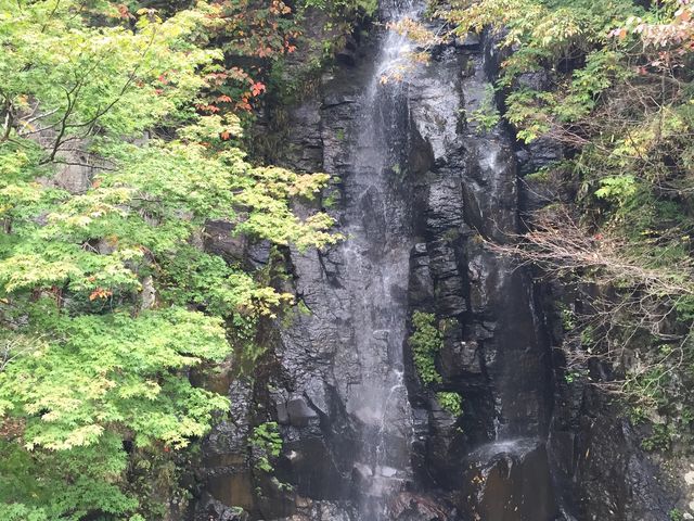 C_C̋Pi򕌌Ssj̓eʐ^1