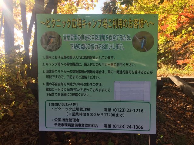 ���ӏ���_�t����