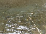 ͂Ă񂳂̑Og썑ۃ}Xޏ̓eʐ^2