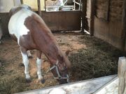 MooMoo܂΁iqj̓eʐ^4