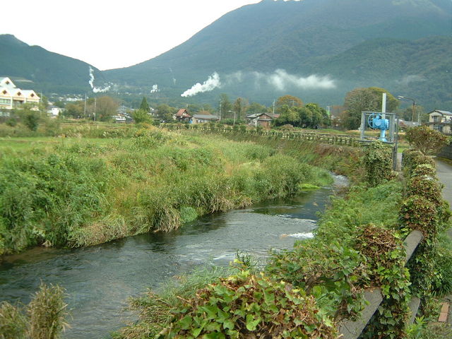 Ԃ񂳂̏鋴̏㗬̓eʐ^1