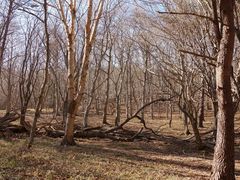 �Ђ�������̑�E�R�X�ь����ւ̓��e�ʐ^1