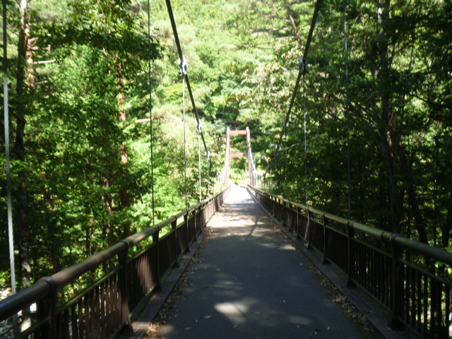 �V�y���苴_������X�ь���