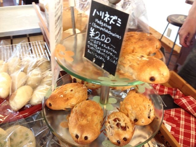 nlY~̉p_uWF[JtF}V^