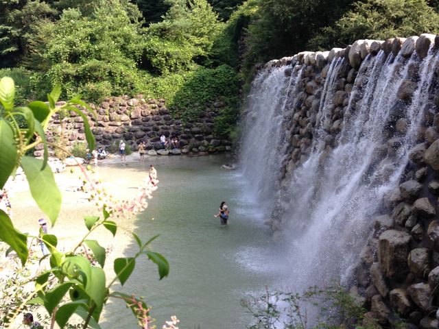 白州・尾白の森名水公園べるが】予約・アクセス・割引クーポン