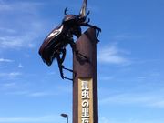 poporon̓̉w ̗т̓eʐ^1