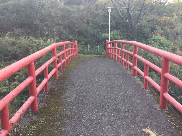 ��������܂��B_�������R