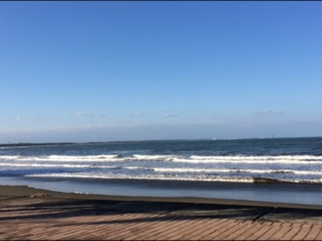 �{��͂����Ă��ǂ��g������܂�_SURF CITY �{��