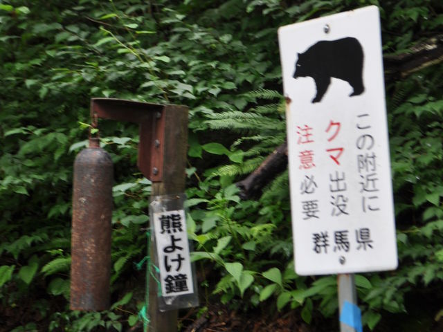 �䂫����̖���̑�̓��e�ʐ^1