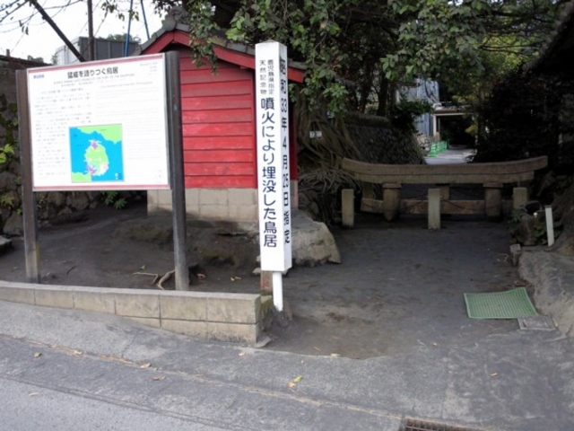 ���_���v����