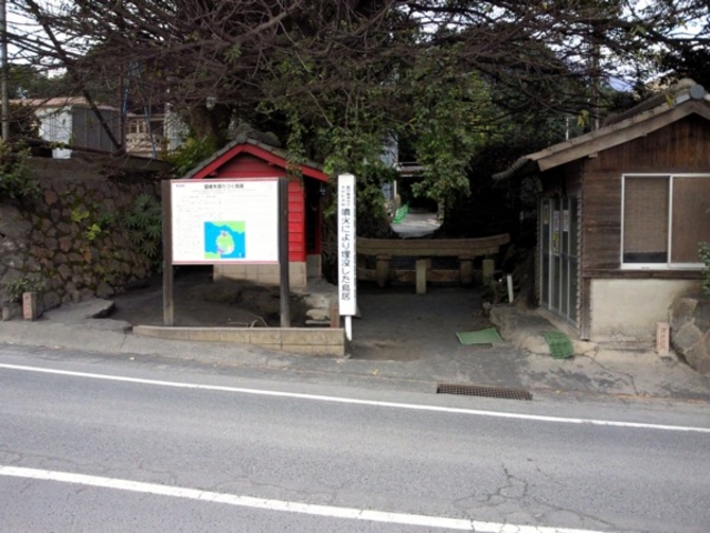 ���_���v����