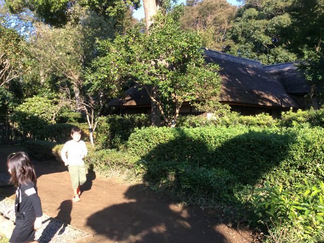 neko܂̕Ɖ~i͌ƏZEAnƏZEƏZj̓eʐ^1