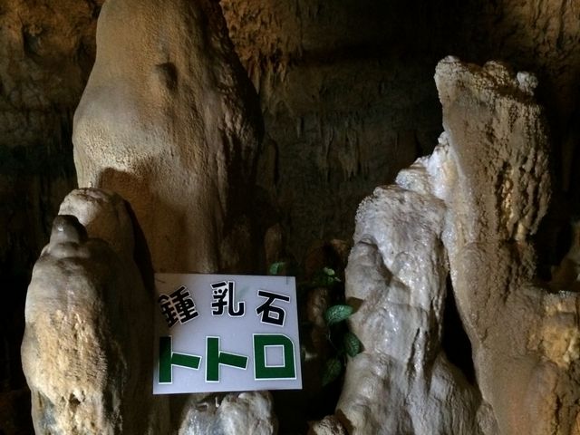 �g�g��_�Ί_���ߓ���