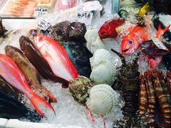 �`��������̑��q�u���ݎs��ւ̓��e�ʐ^1