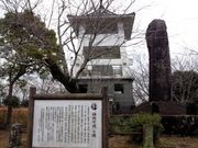 kingtut̏R隬̓eʐ^1