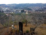 kingtut̏R隬̓eʐ^3