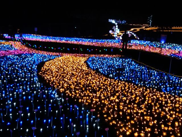 �Y��ł���_�y���l�̐��n�z�A�p���]�[�g��z�����W�]��