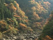 񂿂񂳂̂߂΂̓eʐ^2