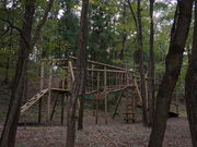 b̓ߐ{삪tB[hAX`bN̓eʐ^1