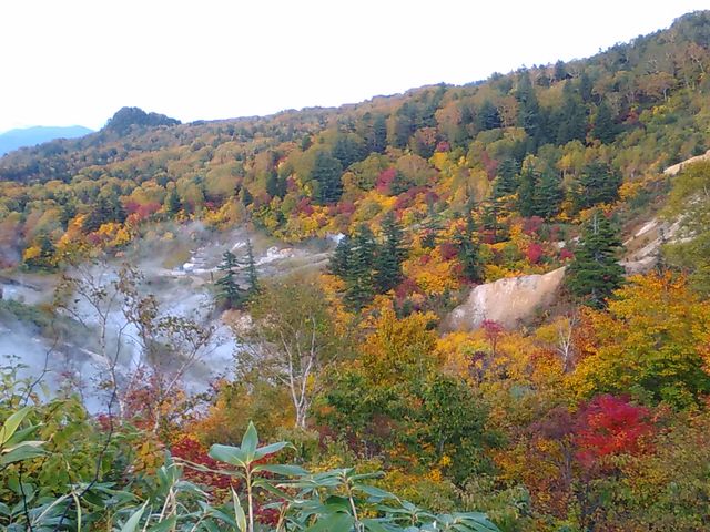 ���m������