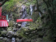 ���C���o���񂳂�̌��R����ꎛ�̓��e�ʐ^1