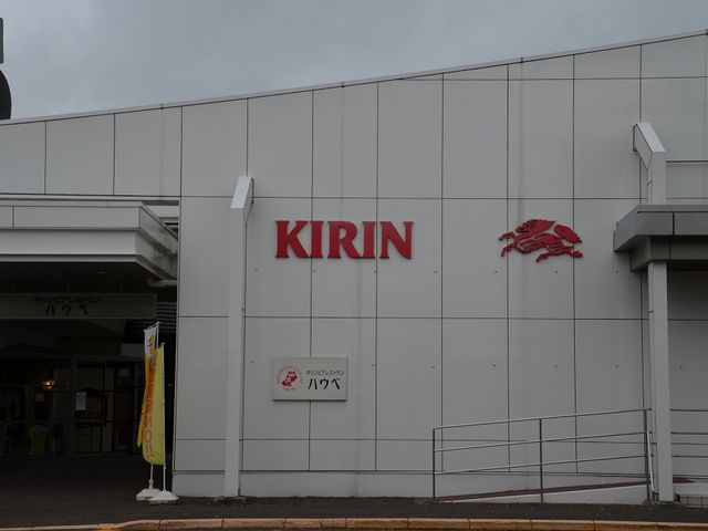 �אڂ̃��X�g����_�L�����r�[���i���j�k�C����΍H��