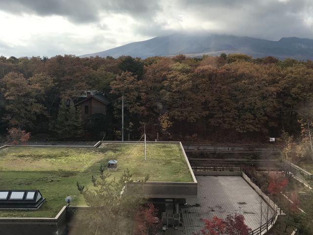 �y����y���z�e���y���1130