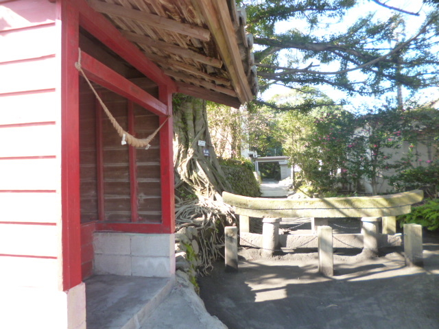 �{���ɖ��v���Ă܂���_���_���v����