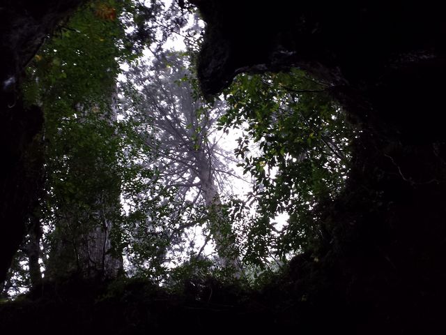 �r���̎ʐ^�X�|�b�g_���v���R��