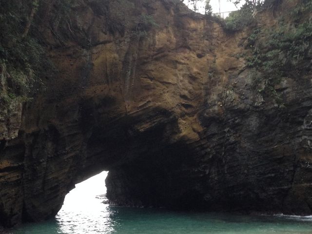 ���{�A_���{�A