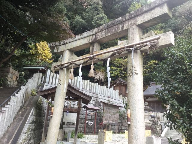 �y���R�Q�_�Ёz
�Z���F���{�����s�命����4828_���R�Q�_��