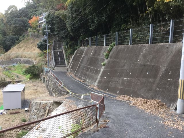 �y���R�Q�_�Ёz
�Z���F���{�����s�命����4828_���R�Q�_��