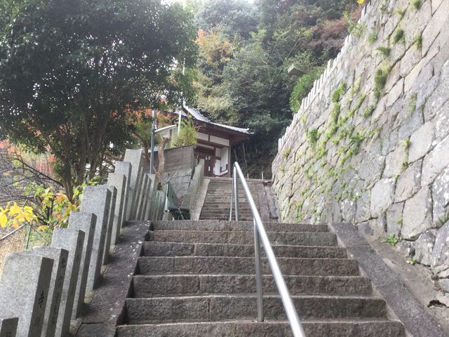 �y���R�Q�_�Ёz
�Z���F���{�����s�命����4828_���R�Q�_��