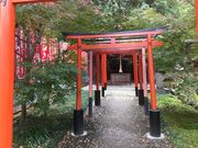 Sakamoto119̗cЂ̓eʐ^15